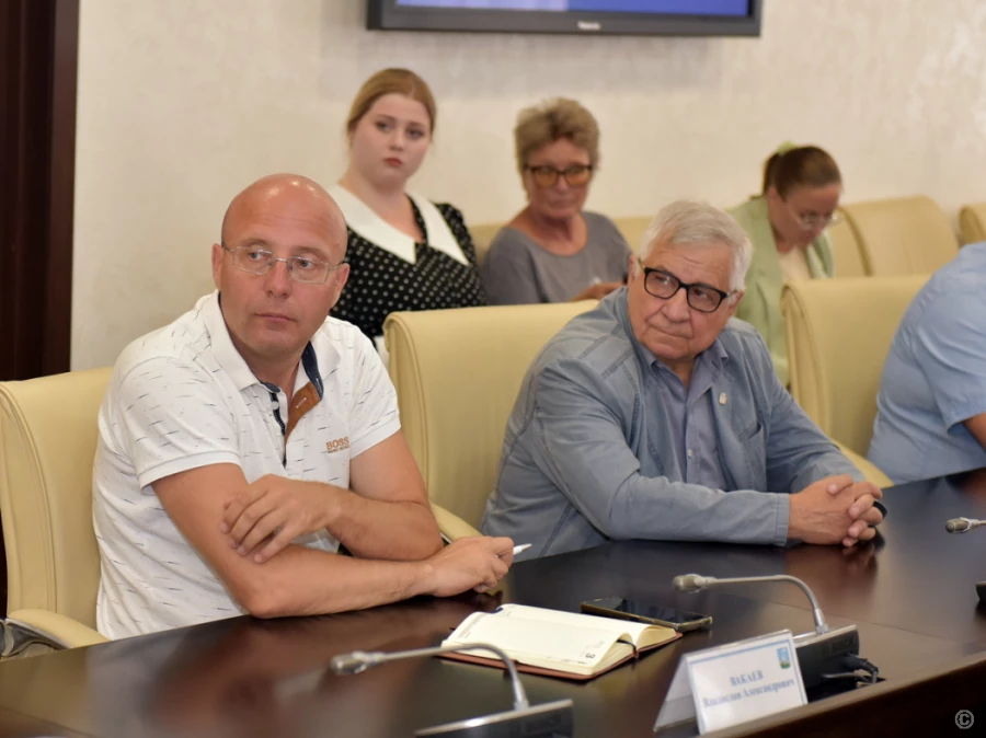 Совещание по теме благоустройства зеленой зоны в границах улиц Ленинградской, Энтузиастов, Антона Петрова (парк им. Ленина).