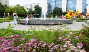 Цветы В Барнауле