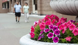 Цветы В Барнауле