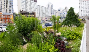 Цветы В Барнауле