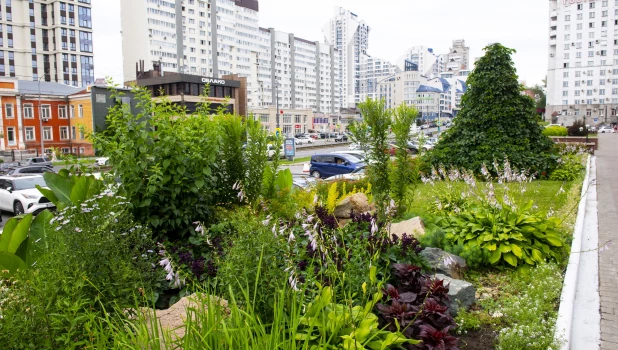 Цветы В Барнауле