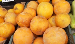 Арбузы и дыни на Новом рынке в Барнауле, 2025. 