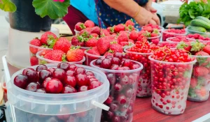 Ягоды, фрукты и грибы на площади Спартака в Барнауле.