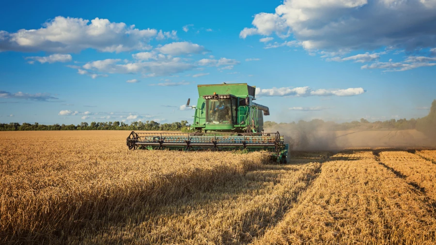 Уборка комбайном.