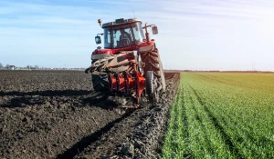 Обработка поля трактором.