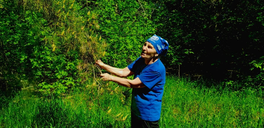 Валентина Алексеевна Забродина