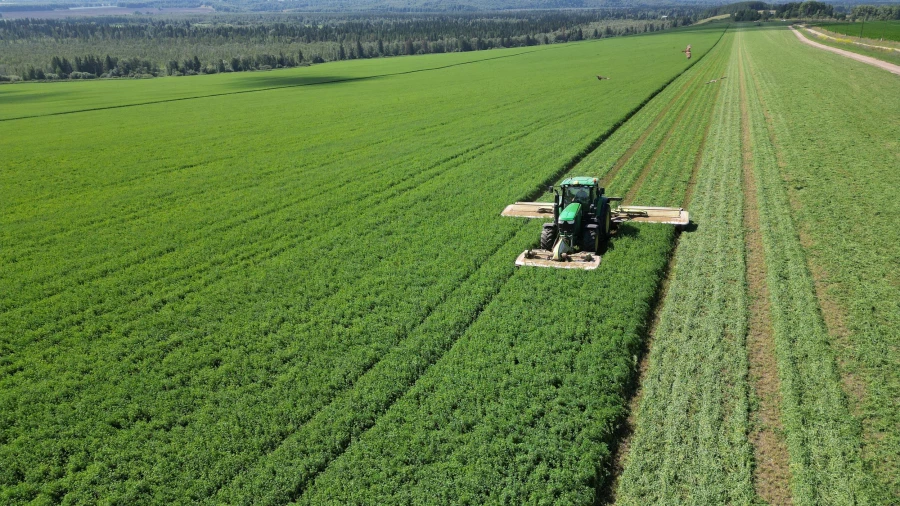 Уборка люцерны на полях сельхозпредприятия «Блиновское».