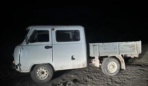 На Алтае девушка выпала из движущейся грузовой машины