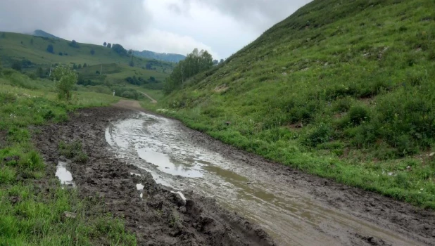 Дорога на въезде в село Солонешное.