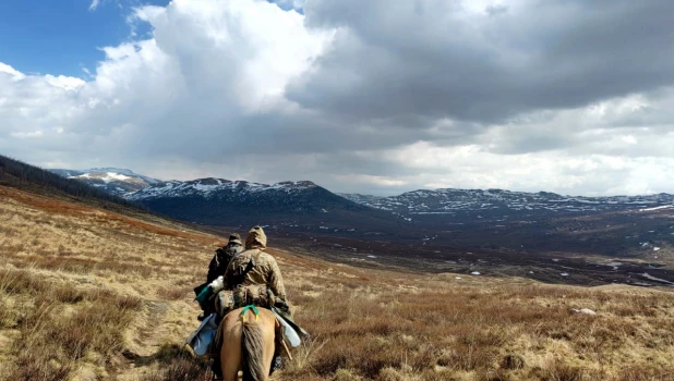 Всадники-браконьеры объявились в Алтайском заповеднике.
