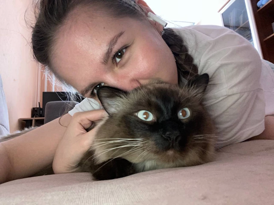 Кот Дымок