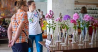 Выставка лилий и флоксов в садоводстве Сибири имени Лисавенко, Барнаул.