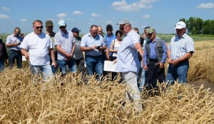 Семинар "Культура семян"