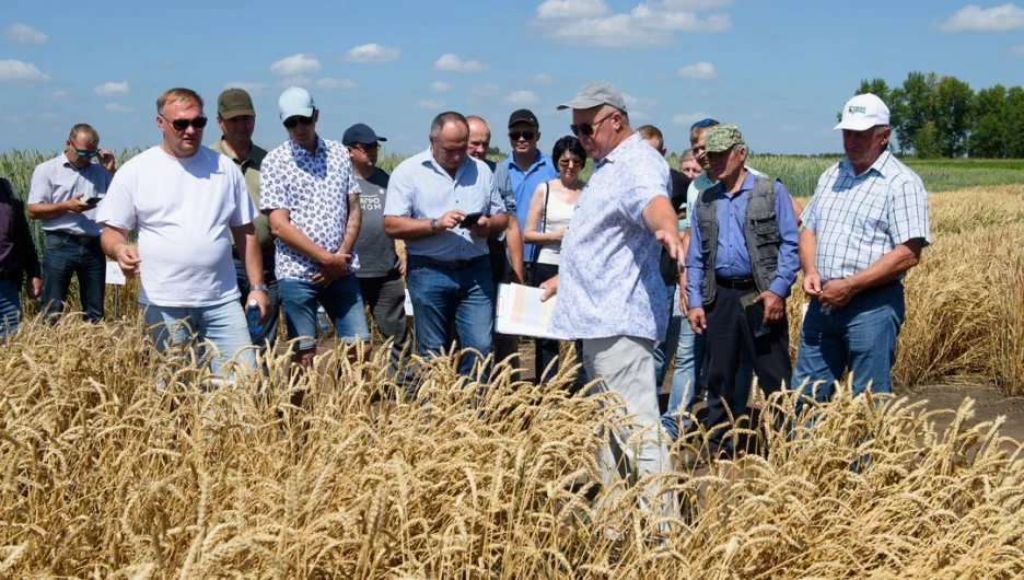 Семинар "Культура семян"