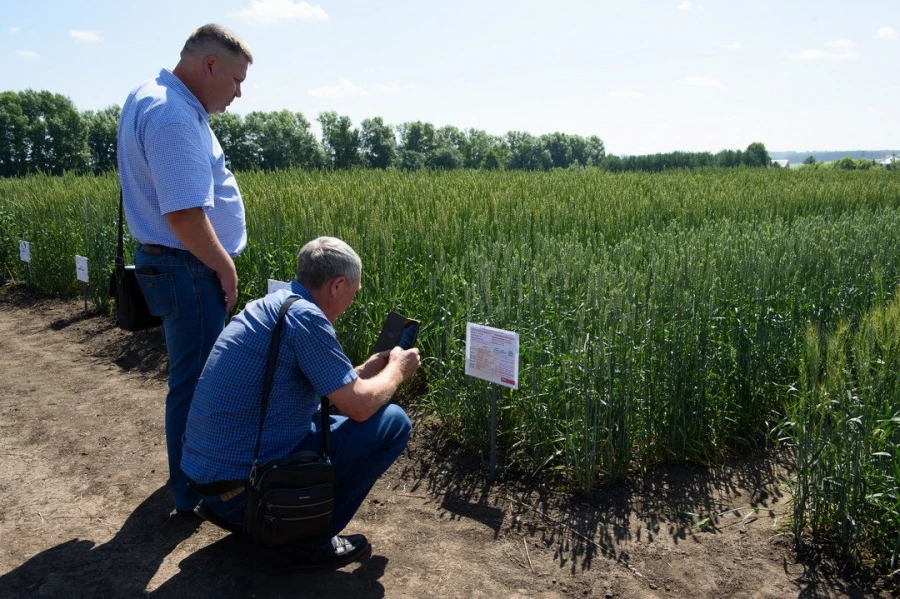 Семинар &quot;Культура семян&quot;