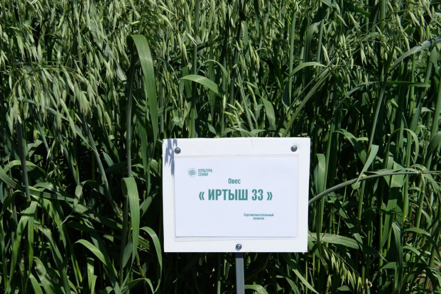 Семинар &quot;Культура семян&quot;