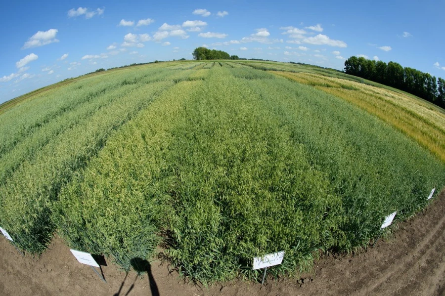 Семинар &quot;Культура семян&quot;