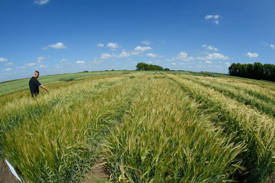 Семинар &quot;Культура семян&quot;