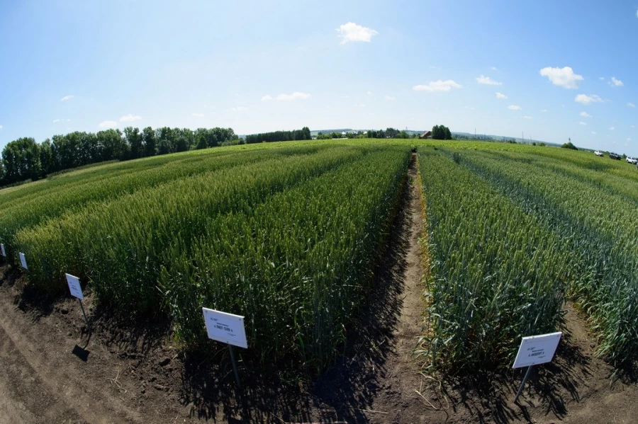 Семинар &quot;Культура семян&quot;