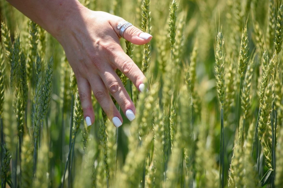 Семинар &quot;Культура семян&quot;