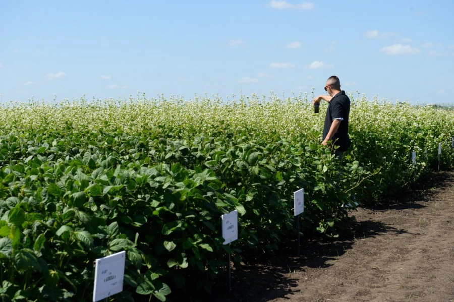 Семинар &quot;Культура семян&quot;