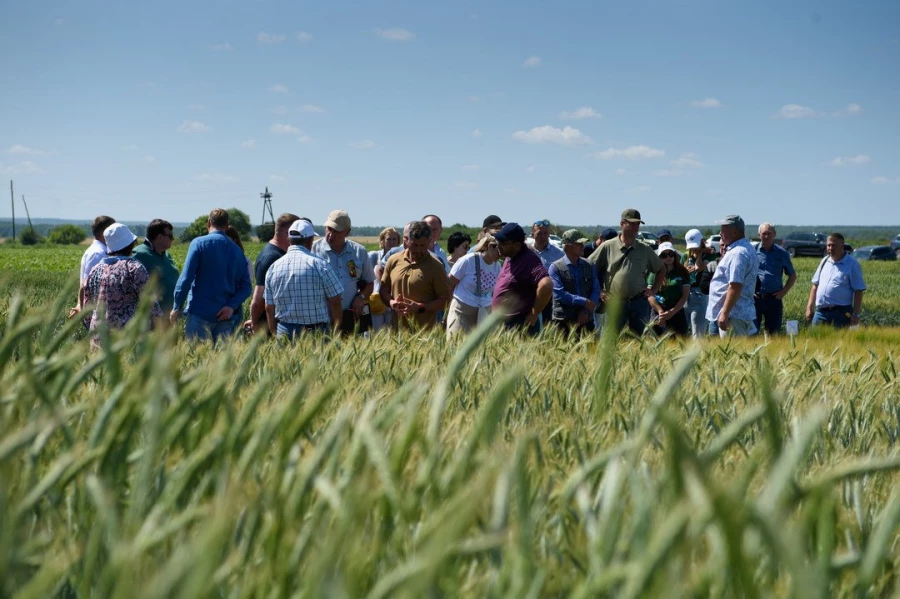 Семинар &quot;Культура семян&quot;