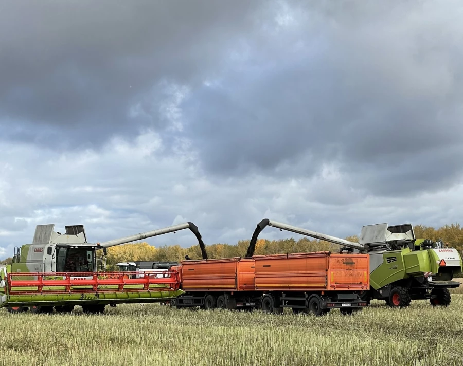 Сельхозпроизводство КХ &quot;Тритикум&quot;.