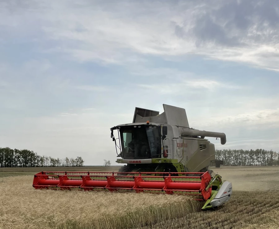 Сельхозпроизводство КХ &quot;Тритикум&quot;.