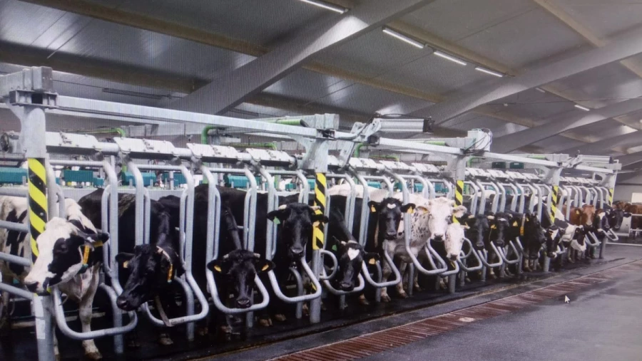 Сельхозпроизводство КХ &quot;Тритикум&quot;.