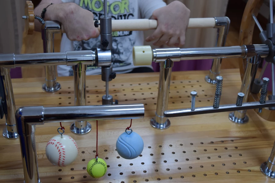 Мамонтовский психоневрологический интернат