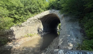 Деринг предлагает обустроить живописный водопад возле Пивоварки, создав популярное туристическое место.