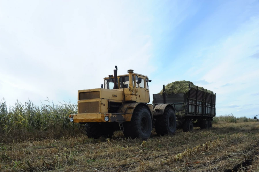 Поля. Алтайский край. Сельское хозяйство. Урожай.