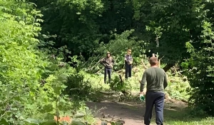 В Барнауле благоустроят пешеходную аллею на «Потоке»