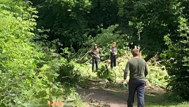 В Барнауле благоустроят пешеходную аллею на «Потоке»