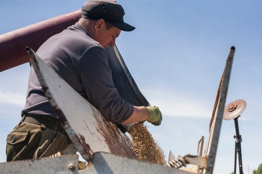 КХ Александра Перова