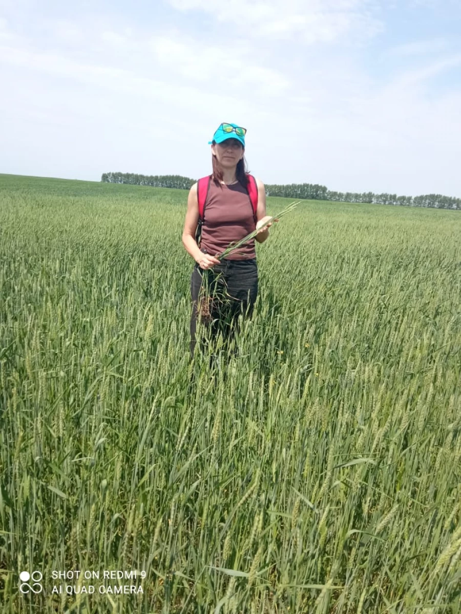 Органическое хозяйство.