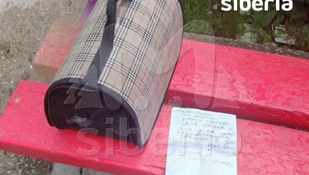 Мальчик оставил кошку на лавочке, чтобы защитить от избиений дома.