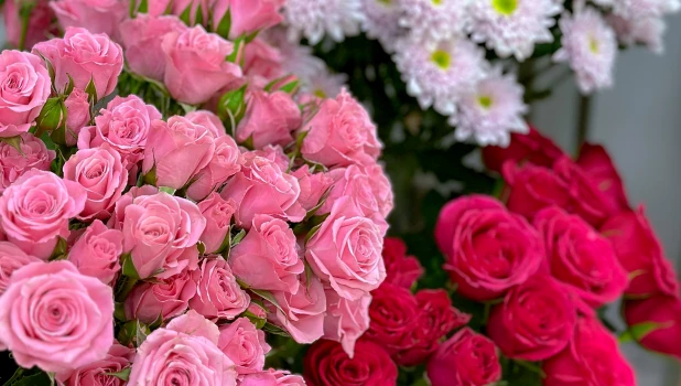 Сеть «Азалия».