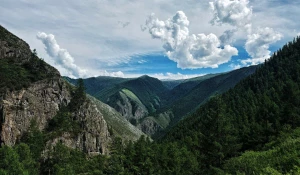 Долина реки Аргут 