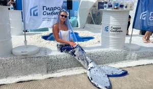 День сибирского поля на Алтае.