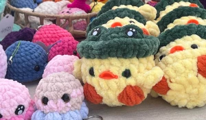 День сибирского поля на Алтае.