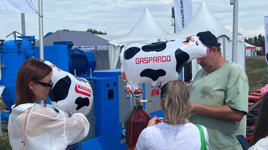 День сибирского поля на Алтае.