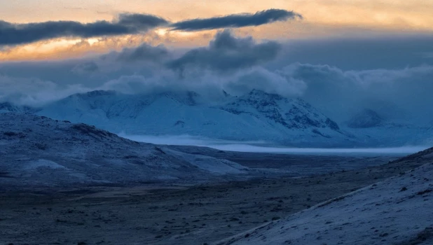 Выпал снег в июле в высокогорье Алтайского заповедника
