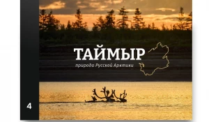 Варианты обложек для книги от Евгения Борисова и его товарищей.