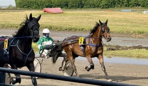 Конноспортивные соревнования «Большие бега»