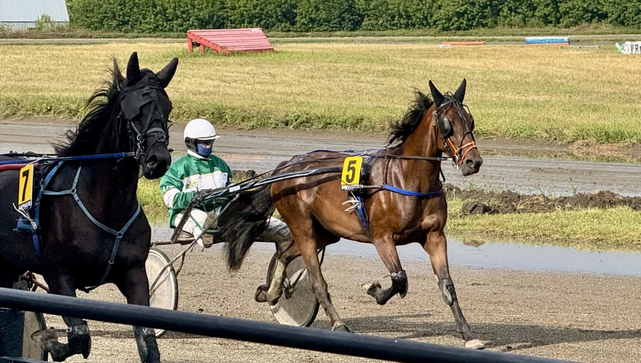 Конноспортивные соревнования «Большие бега»