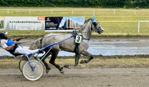 Конноспортивные соревнования «Большие бега»