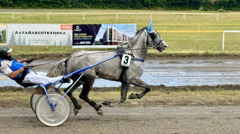 Конноспортивные соревнования «Большие бега»