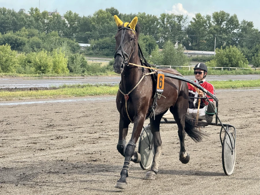Конноспортивные соревнования «Большие бега»