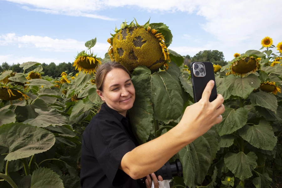 Выставка растений на Дне сибирского поля — 2025.